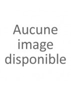 Spécial Baptême